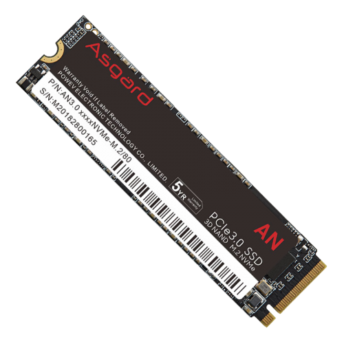 اس اس دی ازگارد AN3 M.2 NVMe 