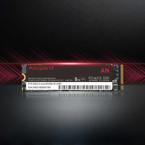 اس اس دی ازگارد AN3 M.2 NVMe 