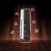اس اس دی ازگارد AN3 M.2 NVMe 